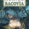 Pagini alese George Bacovia