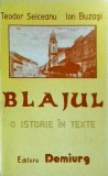 Teodor Seiceanu, Ion Buzasi - Blajul, o istorie in texte