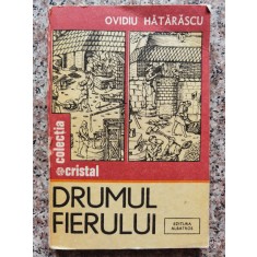 Drumul Fierului - Ovidiu Hatarascu , C164