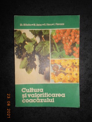 GHEORGHE MIHALCA - CULTURA SI VALORIFICAREA COACAZULUI foto