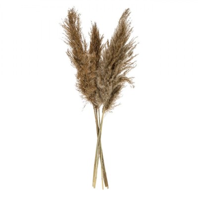 Pene Decorative Pampas, 85cm, Set 5 Bucăți, Culoare Bej foto