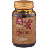 Merisor Forte + D-Manoza 90 tablete Aronia Charlottenburg