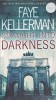 Straight Into Darkness - Faye Kellerman - Carte in Engleza, Editura Headline, 2005, Paperback, 467 Pagini