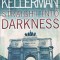 STRAIGHT INTO DARKNESS-FAYE KELLERMAN-153382