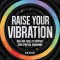 Raise Your Vibration (New Edition): High-Vibe Tools to Support Your Spiritual Awakening