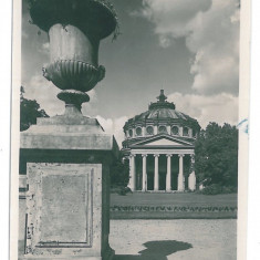 811 - BUCURESTI, Atheneum, Romania - old postcard, real PHOTO - unused