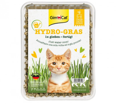 Iarba pentru pisici GimCat Hydro Grass, 150 g - RESIGILAT foto