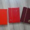 3 Clasoare mari A4 , uzate (lot 606)