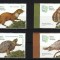 Fauna, fluturi, testoasa, vidra, Parcul Natural Văcărești, 2023, LP 2434, MNH