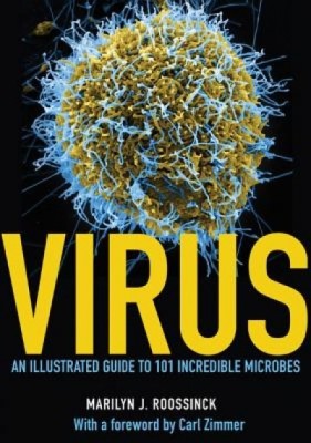 Virus: An Illustrated Guide to 101 Incredible Microbes foto