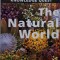 The natural world (Editia: 2004)