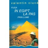 Valentin Ciuca - Fuga in Egipt la pas prin lume... - 136693