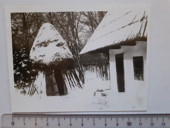 Fotografie cu casă 22