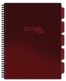 Caiet cu Spirala si Separatoare Strigo Pads Project Book Basic A4, Matematica, Maro