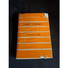 Un spațiu de dor (cu dedicatia autorului catre politicianul Gheorghe Pana) - Radu C&acirc;rneci