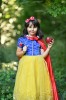 Rochita Printesa Alba ca Zapada Carnaval, Aniversare - Noua! 4, 5, 6 Ani. Optional accesorii: Manusi, Bagheta, Coronita