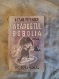Adapostul Sobolia-Cezar Petrescu