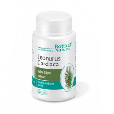 Leonorus Cardiaca (Talpa Gastei Extract) Rotta Natura 30cps