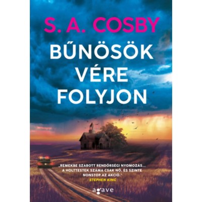 Bűn&amp;ouml;s&amp;ouml;k v&amp;eacute;re folyjon - S. A. Cosby foto