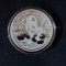China - 10 Yuan - Panda 2024 - Moneda de argint 30 gr. UNC