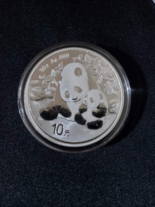 China - 10 Yuan - Panda 2024 - Moneda de argint 30 gr. UNC