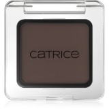 Catrice Art Couleurs fard ochi culoare 500 Mystic Mud 2 g