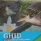 Ghid cu speciile si habitatele de interes comunitar ale zonei pontice si fluvio-marine din R.B.D.D.
