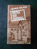 GEORGE BALAITA - NOPTILE UNUI PROVINCIAL (1983)