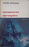 ASTEPTAREA APROAPELUI (CU DEDICATIA AUTORULUI CATRE PICTORUL VAL GHEORGHIU)-CORNELIU STEFANACHE-252786