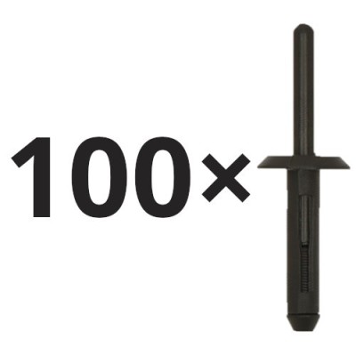 Set 100 cui fixare BMW X3, X5, X6, X7; Chrysler 300M, 300C, Concorde, Pacifica, Town &amp;amp;amp; Country; Dodge Caliber, Challenger, Dakota, Durango, Intre foto