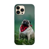 Husa compatibila cu Apple iPhone 14 Plus model Ready for a snack, Silicon, TPU, Viceversa, Transparent, Carcasa