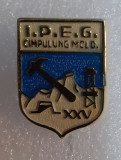 Insigna I.P.E.G. Cimpulung Moldovenesc