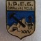 Insigna I.P.E.G. Cimpulung Moldovenesc