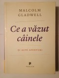 Malcolm Gladwell - Ce a văzut c&acirc;inele și alte aventuri