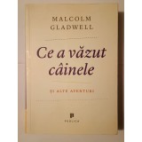 Malcolm Gladwell - Ce a văzut c&acirc;inele și alte aventuri