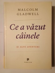 Malcolm Gladwell - Ce a văzut c&acirc;inele și alte aventuri