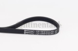 CONTINENTAL CTAM 4PK830 ELAST Curea transmisie cu caneluri