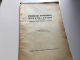 Cumpara ieftin Dr. Stefan Lupsa, Primatul Sf. Apostol Petru in Primele Trei Veacuri Creștine