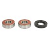 Kit Rulmenti Roata YAMAHA FZ FZS WR 250-1000 1997-2012