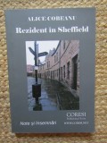 Rezident in Sheffield. Note si insemnari, de Alice Cobeanu