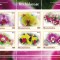 MAURITANIA 2018 - Orhidee [2] / colita MNH