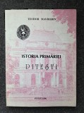 ISTORIA PRIMARIEI PITESTI - Teodor Mavrodin