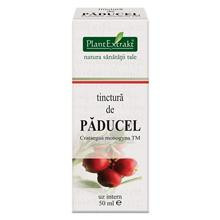 Tinctura Paducel 50ml PlantExtrakt Cod: PLAX.00184 foto