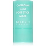 Neogen Dermalogy Canadian Clay Pore Stick Mask masca pentru curatare profunda pentru micsorarea porilor 28 g