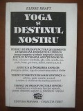 Yoga si destinul nostru - Elisse Kraft