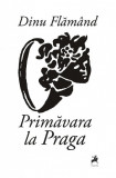 Primavara la Praga | Dinu Flamand, 2019, Tracus Arte