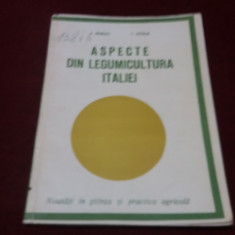 B MANESCU - ASPECTE DIN LEGUMICULTURA ITALIEI