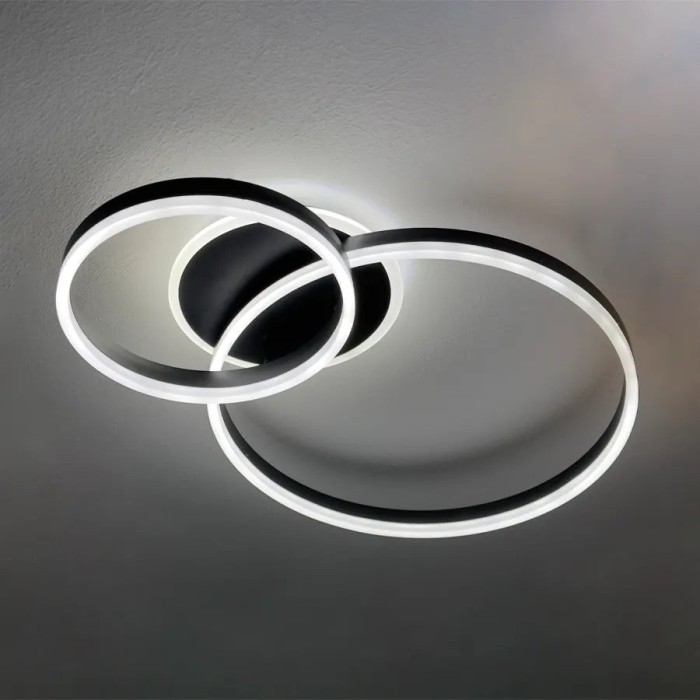 Lustra LED cu telecomanda ELISABETH, 72W, 2 Cercuri, lumina Rece/Calda/Neutra, Dimabila, Negru
