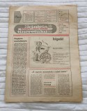 Cumpara ieftin SC&Acirc;NTEIA TINERETULUI - supliment literar-artistic (18 februarie 1989) Nr. 7