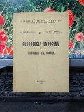 Rădulescu și Dimitrescu Petrologia endogenă a teritoriului R. S. Rom&acirc;nia 060